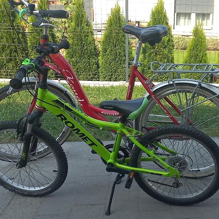 Apartament Aleksander Цехоцинек Екстериор снимка