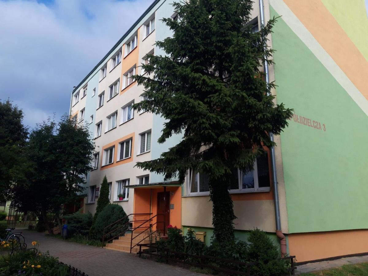 Apartament Aleksander Цехоцинек Екстериор снимка