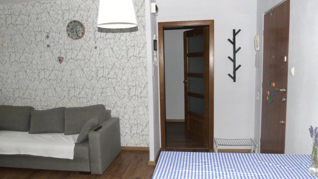 Apartament Aleksander Цехоцинек Екстериор снимка